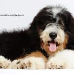 Delphi - @doug_lovedoug444 - Instagram