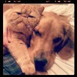 Doug Loves Charlie - @douglovescharlie - Instagram
