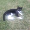Dougles Lovell - @dougles.lovell - TikTok