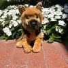 Douglus4life🐶🐶 - @slaystuffies2.0 - TikTok