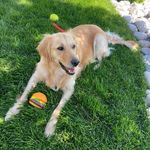 Doug Lundstrom - @douglundstrom - Instagram