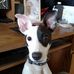 Douglas Lund - Facebook
