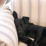 Doug Lunn - @lunndoug - Instagram