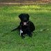 Doug Luster - Facebook