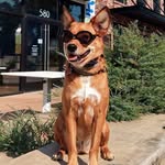 Doug Lyle - @macdugel - Instagram