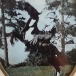 Doug Lynch - @cowboy7753 - Instagram