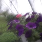 Doug Lynch - @douglynch9 - Instagram
