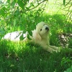 Doug Lynch - @pdlynch23 - Instagram