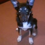 Dougie Macdougall - Facebook