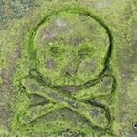 Doug MacFarlane - @macfarlane.doug - Instagram