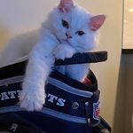 Doug MacIntyre - @dougmacintyre - Instagram