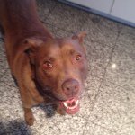 Doug Mack - @dmack369 - Instagram