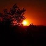 Doug Maclean - @dmac.64 - Instagram