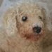 Doug MacLellan - Facebook