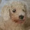 dougmaclellan - @dougmaclellan - TikTok