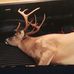 Doug Madden - Facebook
