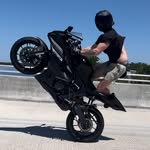 Madden - @madden.mcdougal - Instagram
