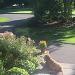Doug Mahoney - @mahoney.douglas - Instagram