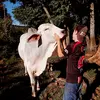 Douglas radko malek - @malek.douglas - TikTok