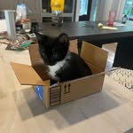 Doug - @malinowskidoug - Instagram