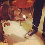 Doug Malone - @d0uglassssss - Instagram