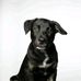 Doug Man - Facebook