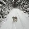 doug_march5 - @douglasmarchand - TikTok