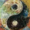 Doug Marion - @halcyon_and_on - TikTok