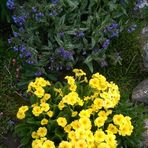Doug Marion MacDonald - Facebook