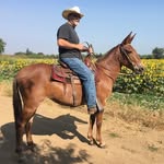 Doug Marr - @dougmarr53 - Instagram