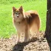 Doug Marrs681 - @dougmarrs - TikTok