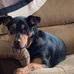 Doug Martin - Facebook