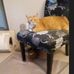 Doug Martin - Facebook