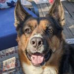 Doug Mattson - @doug32967 - Instagram