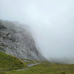 Doug Mayer - @dougmayer19 - Instagram