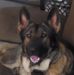 Doug Mayer - Facebook