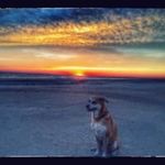 Doug McCall - @dougwmccall - Instagram