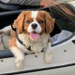 Doug McCall - @djmkcity - Instagram
