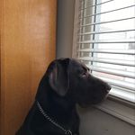 Doug McCall - @mccall.doug - Instagram