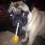 Doug McCarthy - @dougie_mccarthy - Instagram