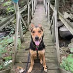 Doug McCarthy - @doug.mccarthy.5 - Instagram