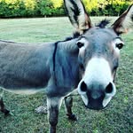 Doug McCarthy - @im_doug_mccarthy - Instagram
