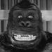 Doug McCartney - Facebook