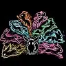 Douglas Mccoy - @lw7n80212on - TikTok