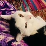 Douglas P. McCune - @douglas_i_play_outside - Instagram
