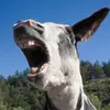 dougmcentire720 - @dougmcentire720 - TikTok