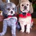 Doug McGarvey - Facebook