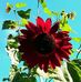 Doug McGarvey - Facebook