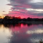 Susan McGhee - @dougmcghee816 - Instagram