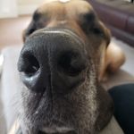 Doug Mckinnon - @doug7mckinnon - Instagram
